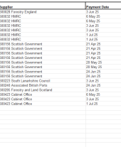Expenditure over 25K 2025 - 2026 quarter 1
